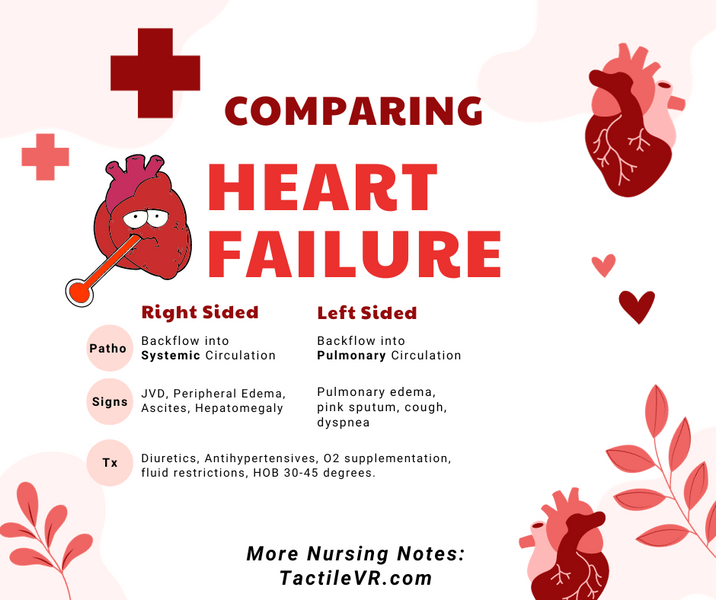 The Difference Between Left-sided and Right-sided Heart Failure