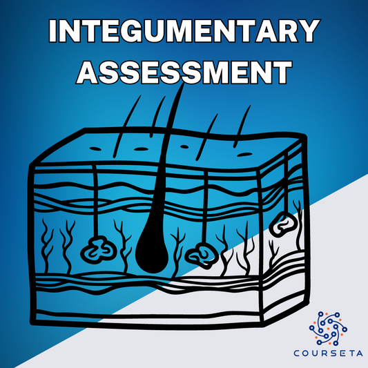 Integumentary Assessment